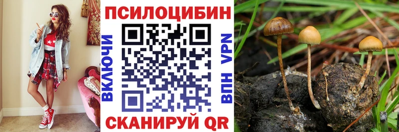 Псилоцибиновые грибы GOLDEN TEACHER Макарьев